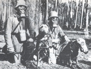 Soldati e cani con maschera antigas